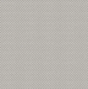 拉塔纳圣克鲁斯俱乐部主席